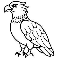 Fototapeta premium Harpy Eagle line art vector