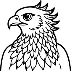 Harpy Eagle line art vector