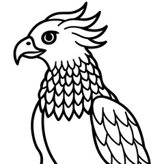 Harpy Eagle line art vector