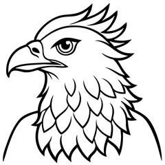 Fototapeta premium Harpy Eagle line art vector