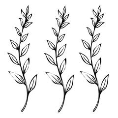 A vector Detailed Vintage Botanical Floral Pattern with Cereal Herbs Wildflowers in Black and White for Wrapping Paper and Textile Design.