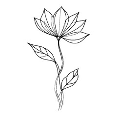 A vector illustration featuring a black elegant sketch of a pastel flowers, perfect for nature themed projects and decor and leaves, set against a white background. 