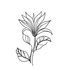 A vector illustration featuring a black elegant sketch of a pastel flowers, perfect for nature themed projects and decor and leaves, set against a white background. 