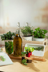 Herb seedling setup with oil bottle, white containers, and small potted plants for kitchen gardening