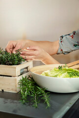 Hand selecting thyme from wooden herb garden with salad bowl and vegetables nearby