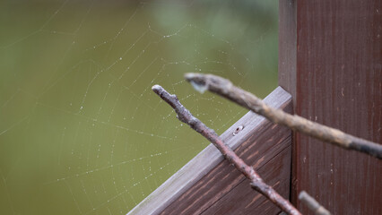 Close-up of a fine spider web stretched between wooden fence panels and thin branches, with a soft green blurred background.