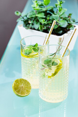 Two cocktails beside fresh mint plant in white planter, lime garnish, turquoise surface styling