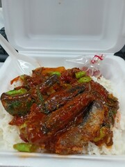 Spicy Sardine Curry with Rice in Takeaway Box