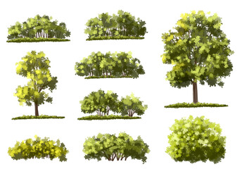 Fototapeta premium Vector of green tree side view isolated on white background ,watercolor tree elevation for landscape concept,environment scene,eco design, garden for spring