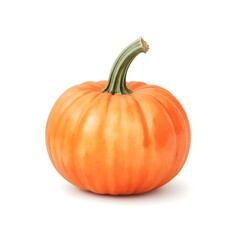 Obraz premium A vibrant orange pumpkin depicted in a watercolor
