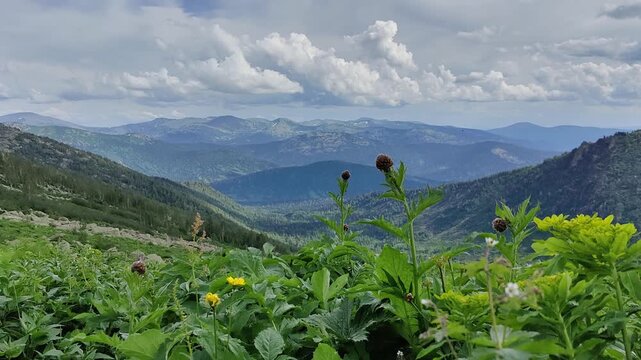 Stunning mountain vista showcasing layers of hills, verdant valleys, and a bright, cloudy sky.