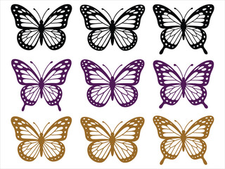 Obraz premium Black purple brown butterflies butterfly insect