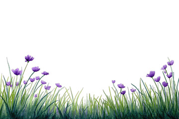 Purple flowers in a grassy border