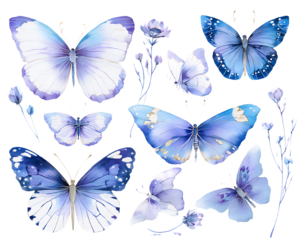 Collection of beautiful watercolor blue and purple butterflies and flowers isolated on transparent background