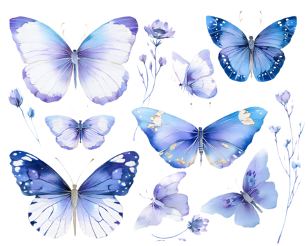 Collection of beautiful watercolor blue and purple butterflies and flowers isolated on transparent background