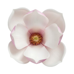 Obraz premium PNG Dusty Pink Wild Rose Head