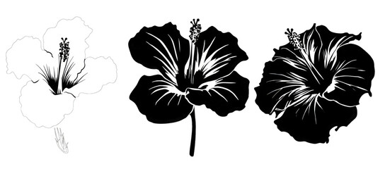 Three stylized hibiscus flower illustrations in black and white, showcasing different levels of detail