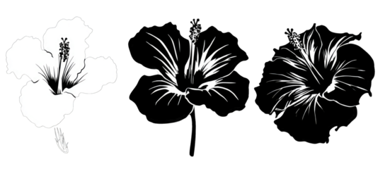 Three stylized hibiscus flower illustrations in black and white, showcasing different levels of detail