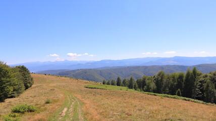 Fototapeta premium autumn landscape in the mountains