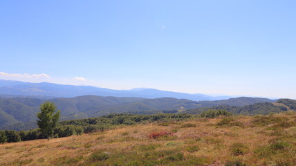 autumn landscape with mountains