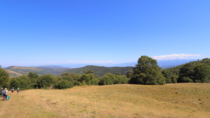 Fototapeta premium mountain landscape in the autumn