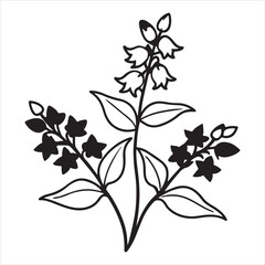 A Detailed Macro Shot of a Cluster of Angelonia Blooms, Highlighting the Intricate Petals and Unique Shape of the Summer Snapdragon