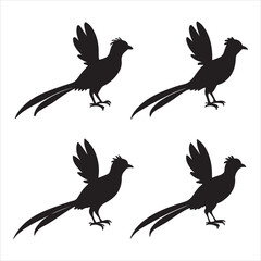 Obraz premium A Wilson's Bird-of-Paradise Performing its Elaborate Courtship Display, a Spectacular and Colorful Dance in the Indonesian Rainforest