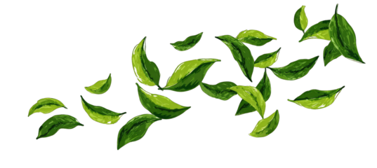 Green leaves scattered