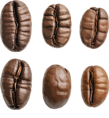 coffee beans isolated on white