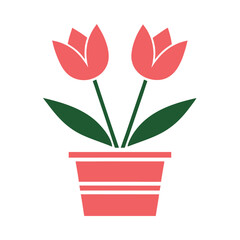 Two coral pink tulips with green leaves in a coral pink pot on a white background flower plant