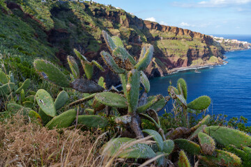 Madera Spain the best island in Portugal © Daniel