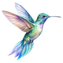 Obraz premium Iridescent hummingbird in flight isolated on transparent background