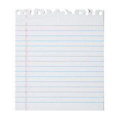 Torn sheet of lined notebook paper for school or notes © PNG Lab