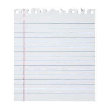 Torn sheet of lined notebook paper for school or notes