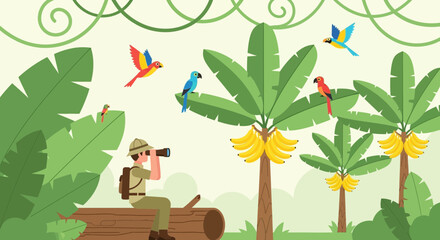 Jungle explorer bird watching tropical parrots amidst lush banana trees