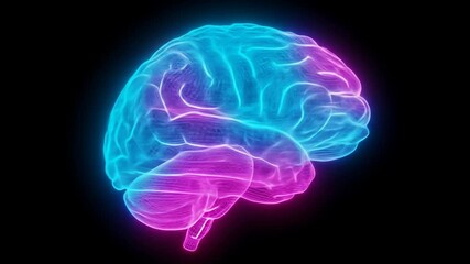 Glowing Neon Brain - A 3D video of a human brain, illuminated with vibrant neon pink and blue light against a black background. - Powered by Adobe