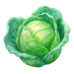 Obraz premium Fresh green cabbage isolated on transparent background