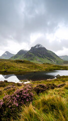 Tranquil and dramatic landscape view of mountain with lake reflection. Purple heather in foreground under cloudy sky. An outdoor highland scene of serene nature
