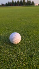 golf ball on green