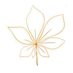 Isolated leave doodle hand drawn