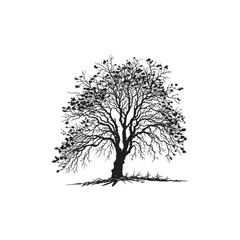 Black Ash Tree Silhouette Vector on White Background.