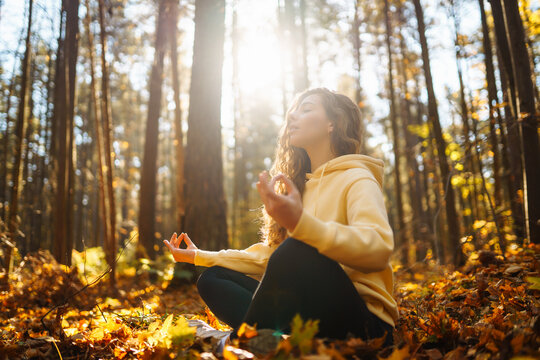 Young woman in bright sweater practicing yoga in autumn forest at sunset. Athletic woman exercising, stretching outdoors. Meditation, yoga and relaxation concept.