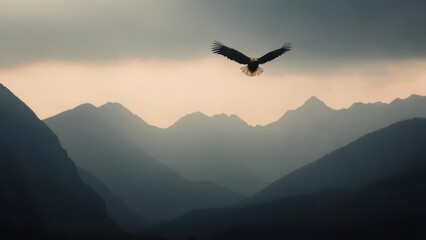 Fototapeta premium Majestic Bald Eagle Soaring Above Misty Layered Mountains at Golden Hour, Symbolizing Freedom and Grandeur