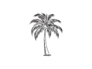 Black and white illustration of a coconut palm tree on a  sketch. Vector illustration