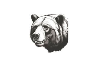 A ferocious bear face white background
