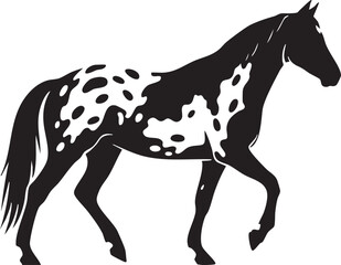 Obraz premium Appaloosa horse silhouette
