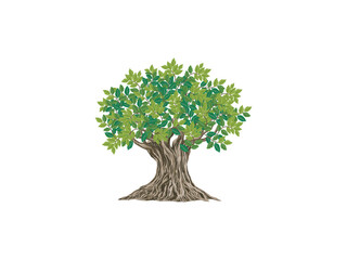 Green vector bodhi tree with leaves, a nature illustration,  vector hand drawn