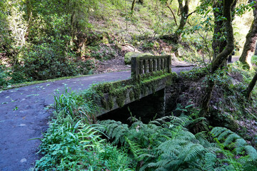 Madera Portugal © Daniel