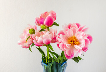 Beautiful peonies flowers in a vase on a light background. Postcard