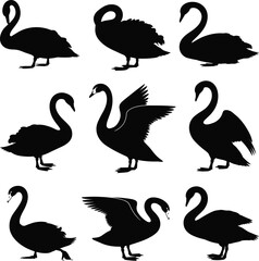 Black swan silhouettes, elegant bird shapes, flying and standing swans, graceful waterfowl vector, isolated animal icons, nature wildlife design